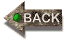 Back to Homepage